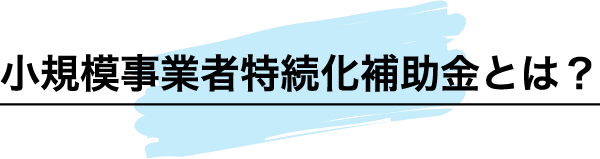 小規模事業者特続化補助金とは？